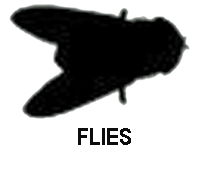 Flies