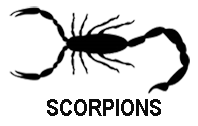 Scorpions